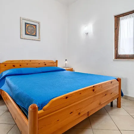 Trilo 600mt Da La Cinta *